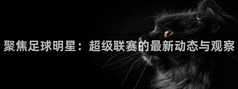 聚焦足球明星：超级联赛的最新动态与观察