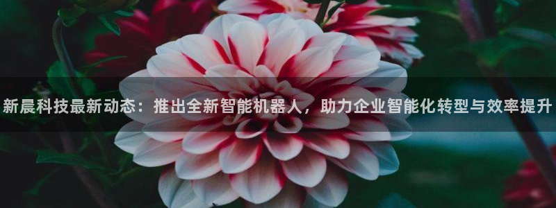 新晨科技最新动态：推出全新智能机器人，助力企业智能化转型与效率提升
