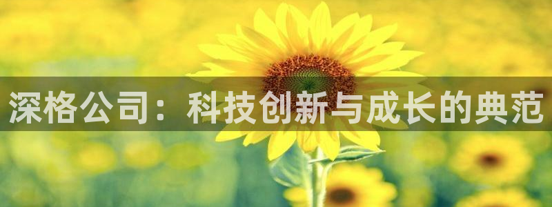 深格公司：科技创新与成长的典范