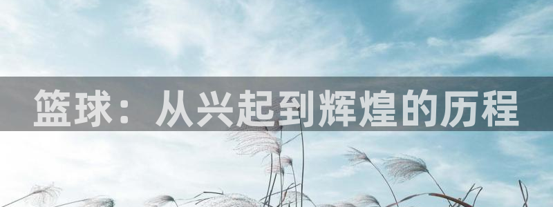 篮球：从兴起到辉煌的历程