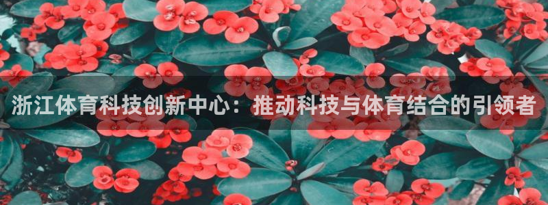 浙江体育科技创新中心：推动科技与体育结合的引领者