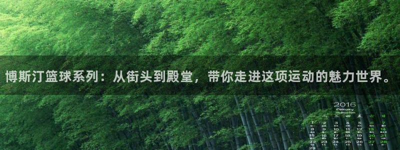 博斯汀篮球系列：从街头到殿堂，带你走进这项运动的魅力世界。