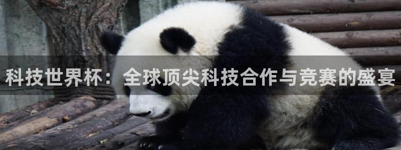 科技世界杯：全球顶尖科技合作与竞赛的盛宴