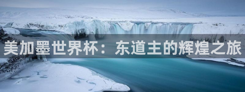 美加墨世界杯：东道主的辉煌之旅