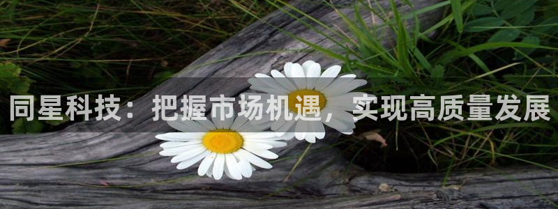 同星科技：把握市场机遇，实现高质量发展
