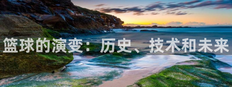 篮球的演变：历史、技术和未来