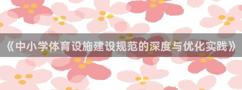 《中小学体育设施建设规范的深度与优化实践》