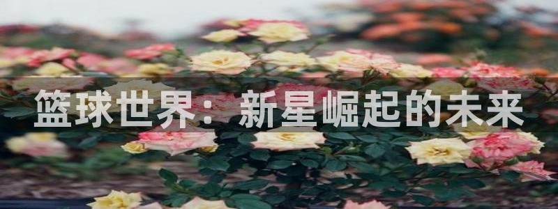 篮球世界：新星崛起的未来