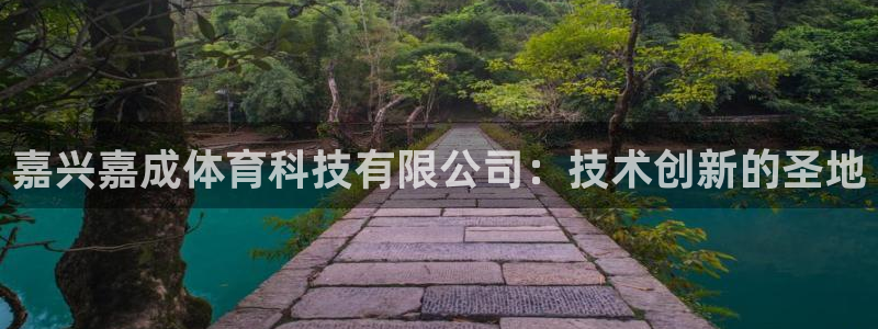 嘉兴嘉成体育科技有限公司：技术创新的圣地