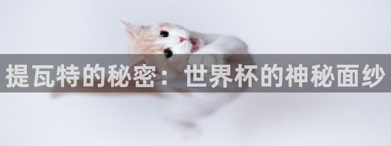提瓦特的秘密：世界杯的神秘面纱