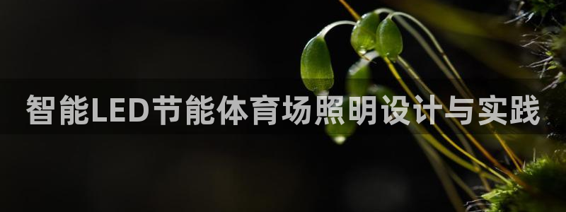 智能LED节能体育场照明设计与实践