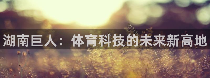 湖南巨人：体育科技的未来新高地