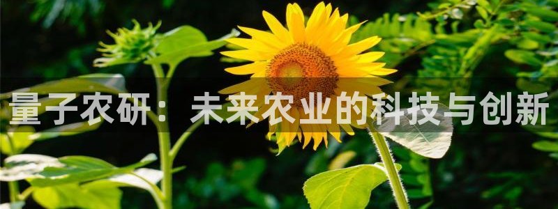 量子农研：未来农业的科技与创新