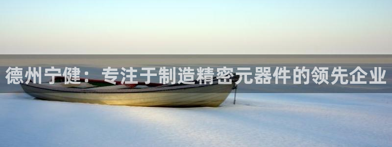 德州宁健：专注于制造精密元器件的领先企业
