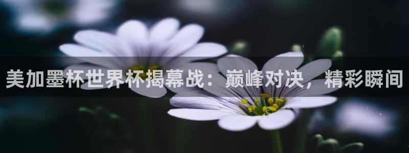 美加墨杯世界杯揭幕战：巅峰对决，精彩瞬间