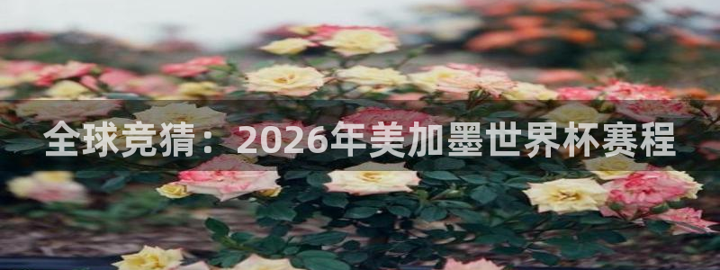 全球竞猜：2026年美加墨世界杯赛程