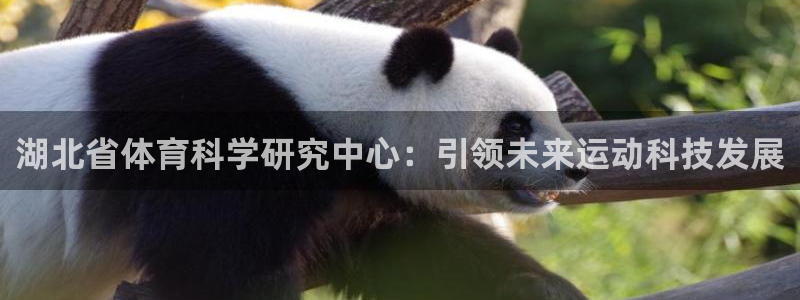 湖北省体育科学研究中心：引领未来运动科技发展